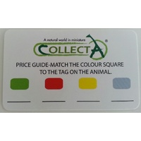 PRICE COLOUR CARDS FOR STANDS (PACK of 5)*