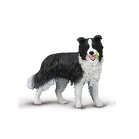 BORDER COLLIE (L)