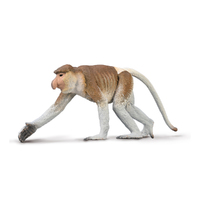 PROBOSCIS MONKEY (L)