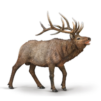 WAPITI (ELK) (XL)