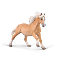 HAFLINGER STALLION (XL)
