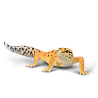 LEOPARD GECKO (L)