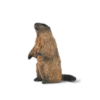 MARMOT (S)