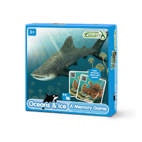 A MEMORY GAME - OCEANS & ICE (ACC)