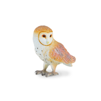 BARN OWL (S)