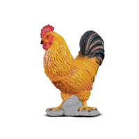 COCKEREL (S)