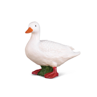 WHITE DUCK (S)