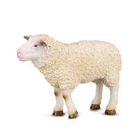SHEEP (M)