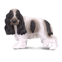 ENGLISH COCKER SPANIEL (M)