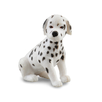 DALMATIAN PUPPY (S)