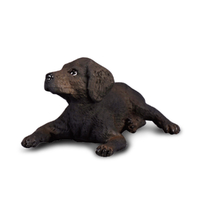 LABRADOR RETRIEVER PUPPY (S)
