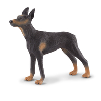DOBERMAN PINSCHER (L)