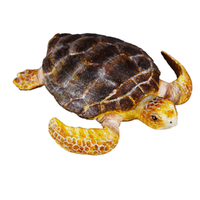 LOGGERHEAD TURTLE (M)