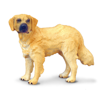 GOLDEN RETRIEVER (M)
