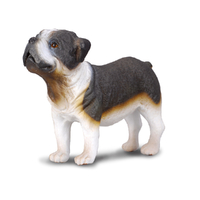 BULLDOG (M)