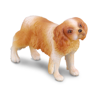 CAVALIER KING CHARLES SPANIEL (M)