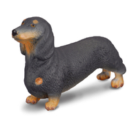 DACHSHUND (S)
