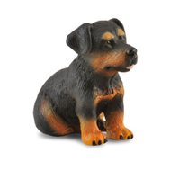 ROTTWEILER PUPPY (S)