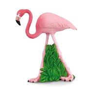 FLAMINGO (M)