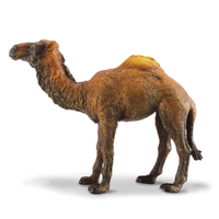 DROMEDARY CAMEL (L)