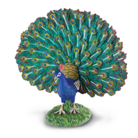 PEACOCK (L)