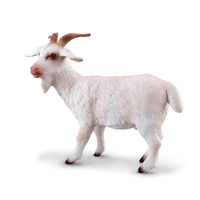 BILLY GOAT (M)