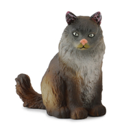 NORWEGIAN FOREST CAT SITTING (S)