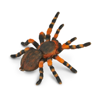RED KNEE TARANTULA (L)