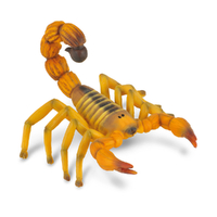 FAT TAILED SCORPION (M)