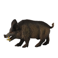 WILD BOAR (M)