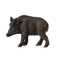WILD SOW (M)