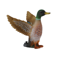 MALLARD DUCK MALE (S)