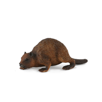 BEAVER (M)