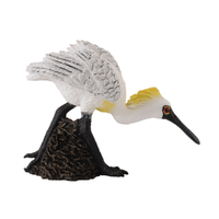 BLACK-FACED SPOONBILL WALKING (M)
