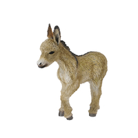 DONKEY FOAL WALKING (S)