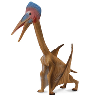 HATZEGOPTERYX (L)