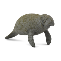MANATEE (L)