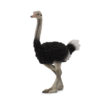 OSTRICH (L)