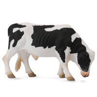 FRIESIAN BULL (L)