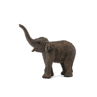 ASIAN ELEPHANT CALF (S)