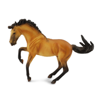 LUSITANO STALLION BUCKSKIN (XL)