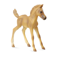 HAFLINGER FOAL STANDING (M)