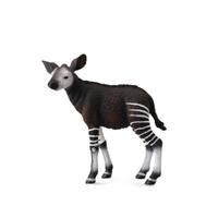 OKAPI CALF (M)