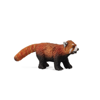 RED PANDA (M)