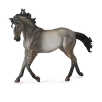 MUSTANG MARE GRULLA (XL)