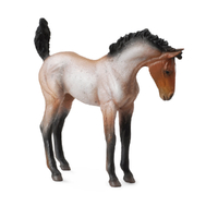 MUSTANG FOAL BAY ROAN (M)