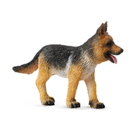 GERMAN SHEPHERD PUPPY (S)