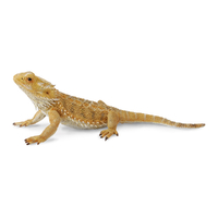 BEARDED DRAGON LIZARD (L)