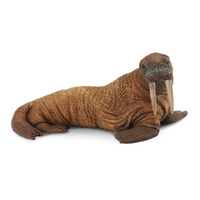 WALRUS (L)