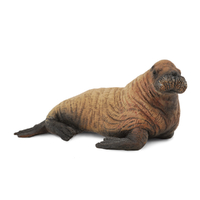 WALRUS CALF (M)